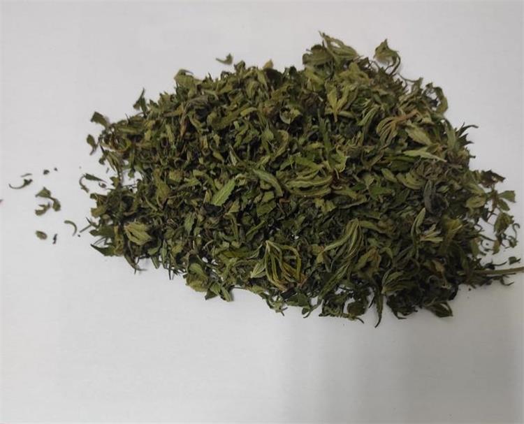 Slika /PU_BP/2023/Droga2023/Droga1.jpg
