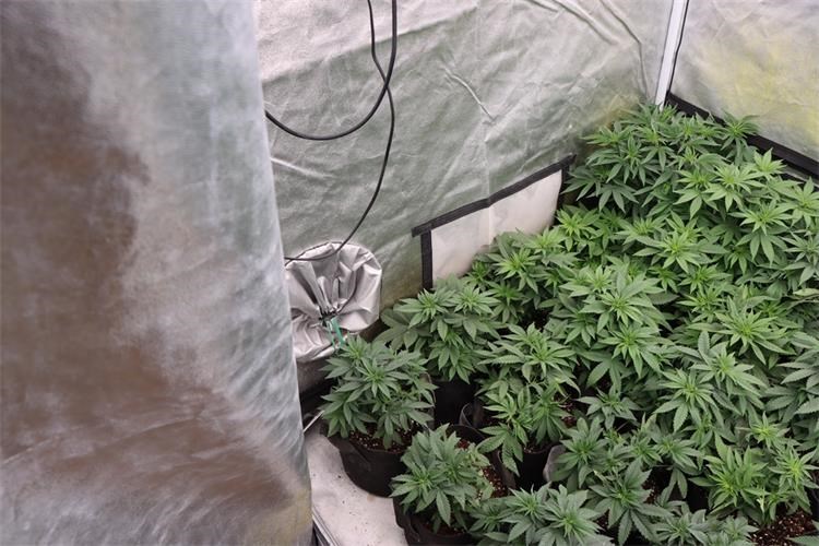 Slika /PU_BP/2025/Ilustracija2025/IMG_0154.JPG