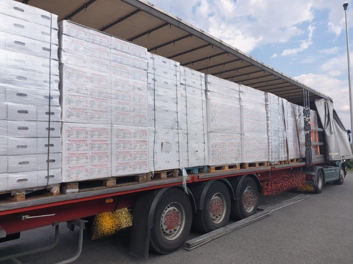 Slika /PU_BP/Granica2019/zaplj.cig.S.G..1jpg.jpg